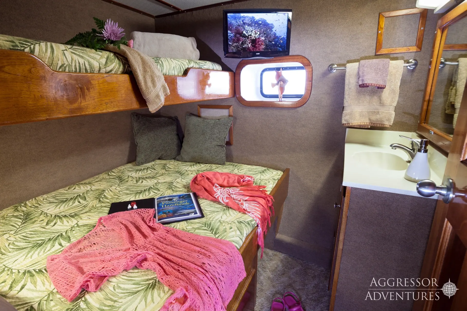 Example of a deluxe twin cabin on the Bahamas Aggressor.