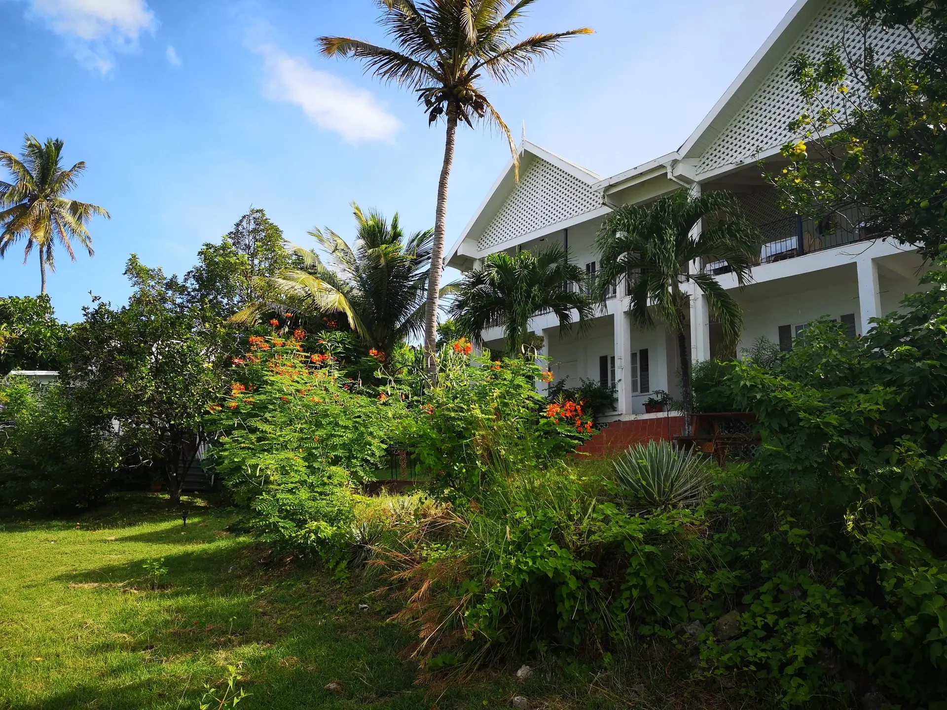 Gardens at Green Roof Inn in the Caribbean island of Carriacou