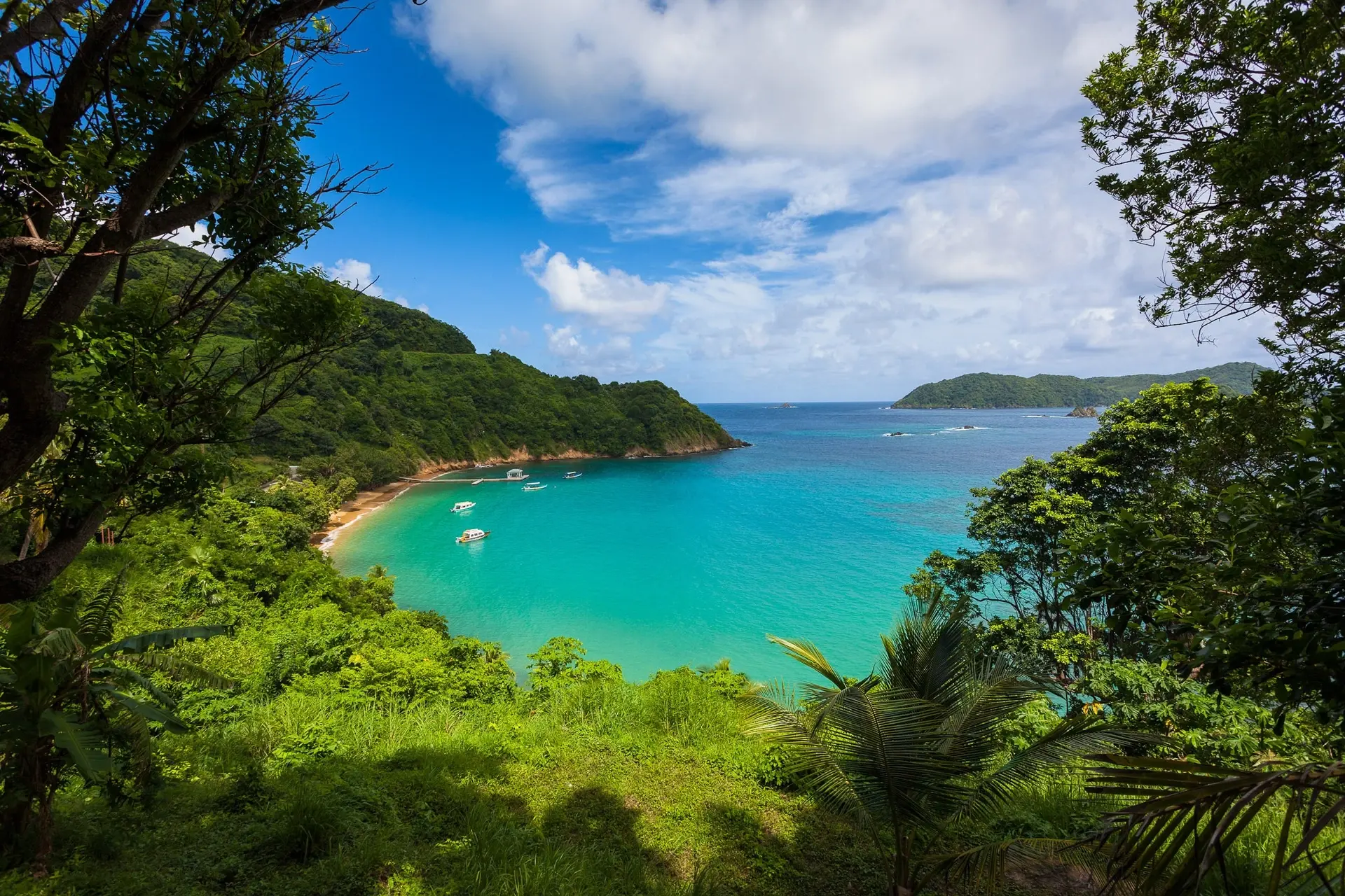 View of Batteaux Bay near Blue Waters Inn in Speyside, Tobago