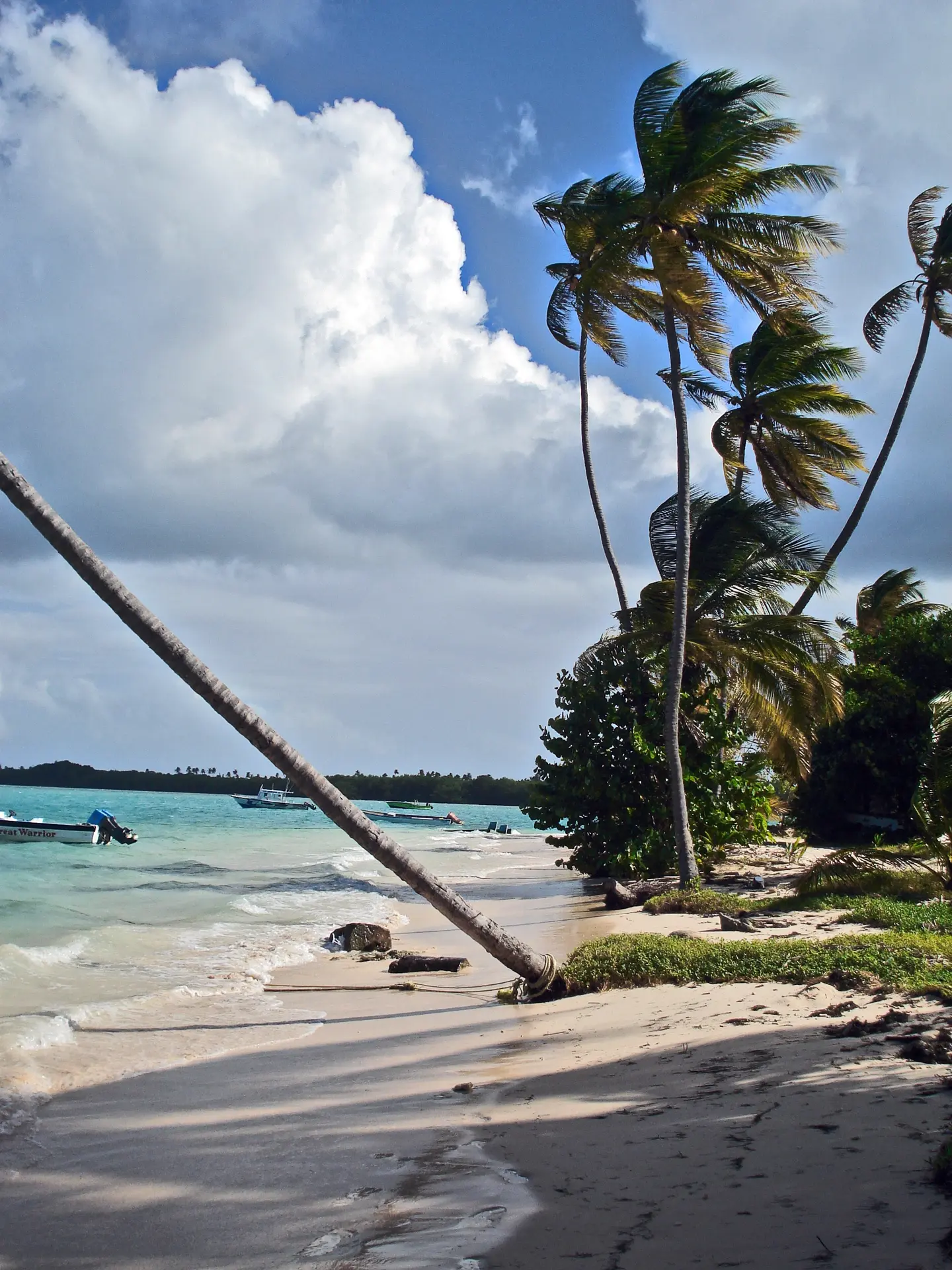 Beach near Nabucco's Resort Speyside Inn in Tobago, the Caribbean