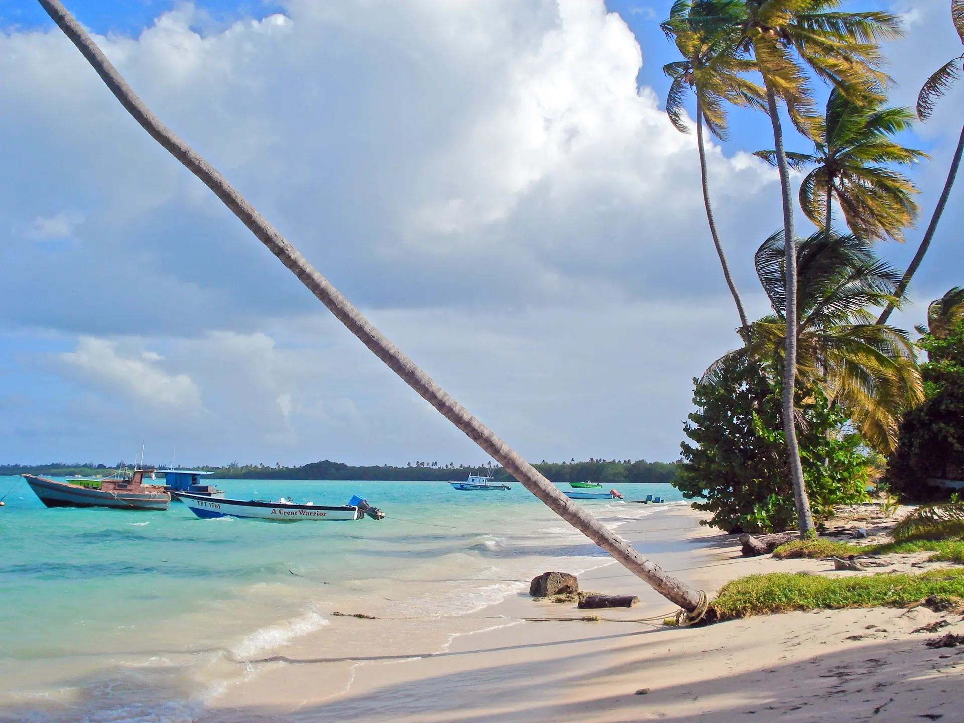 Beach near Nabucco's Resort Speyside Inn in Tobago, the Caribbean