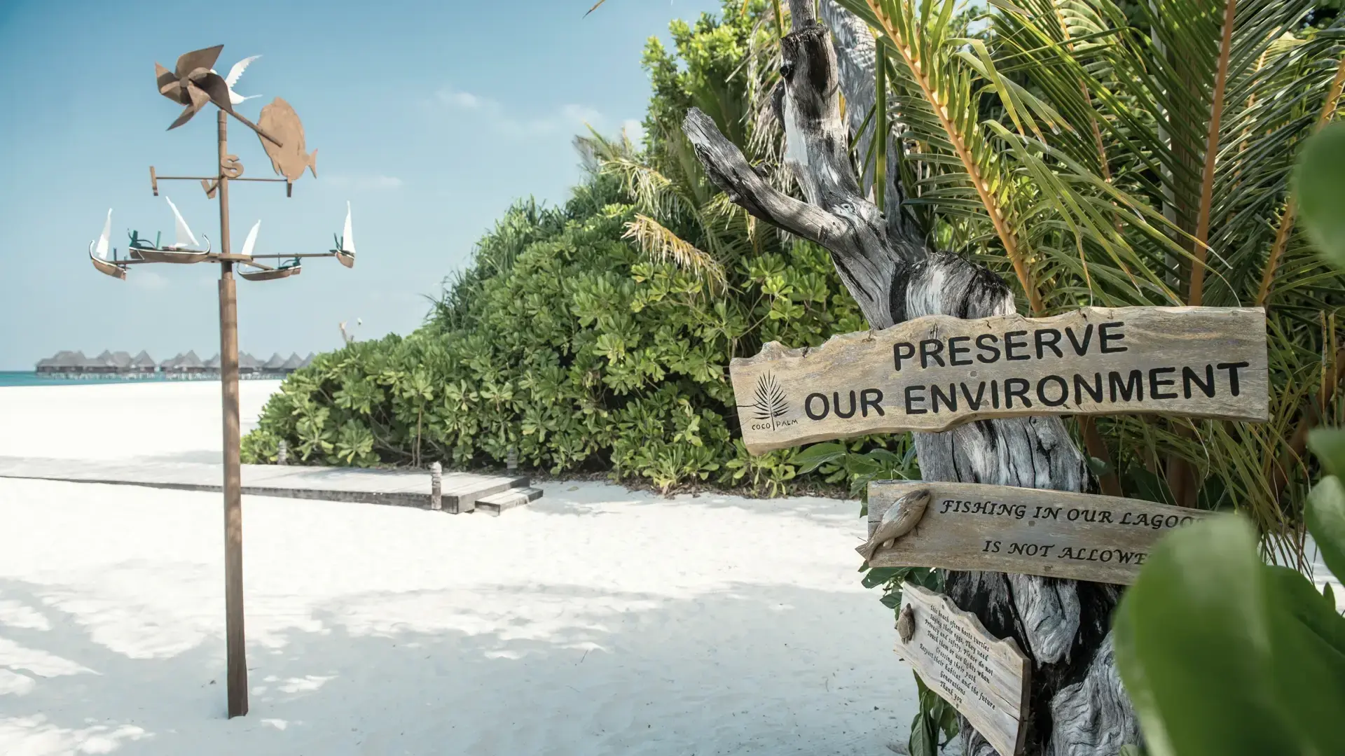 Around the island at Coco Palm Dhuni Kolhu Resort, Maldives