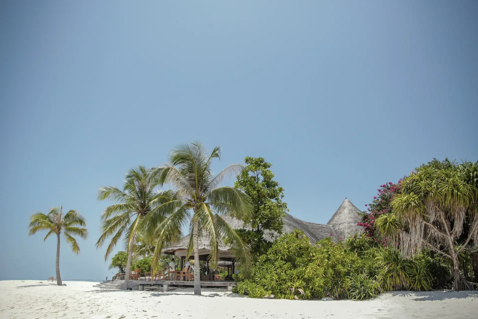 The Conch Bar at Coco Palm Dhuni Kolhu Resort, Maldives