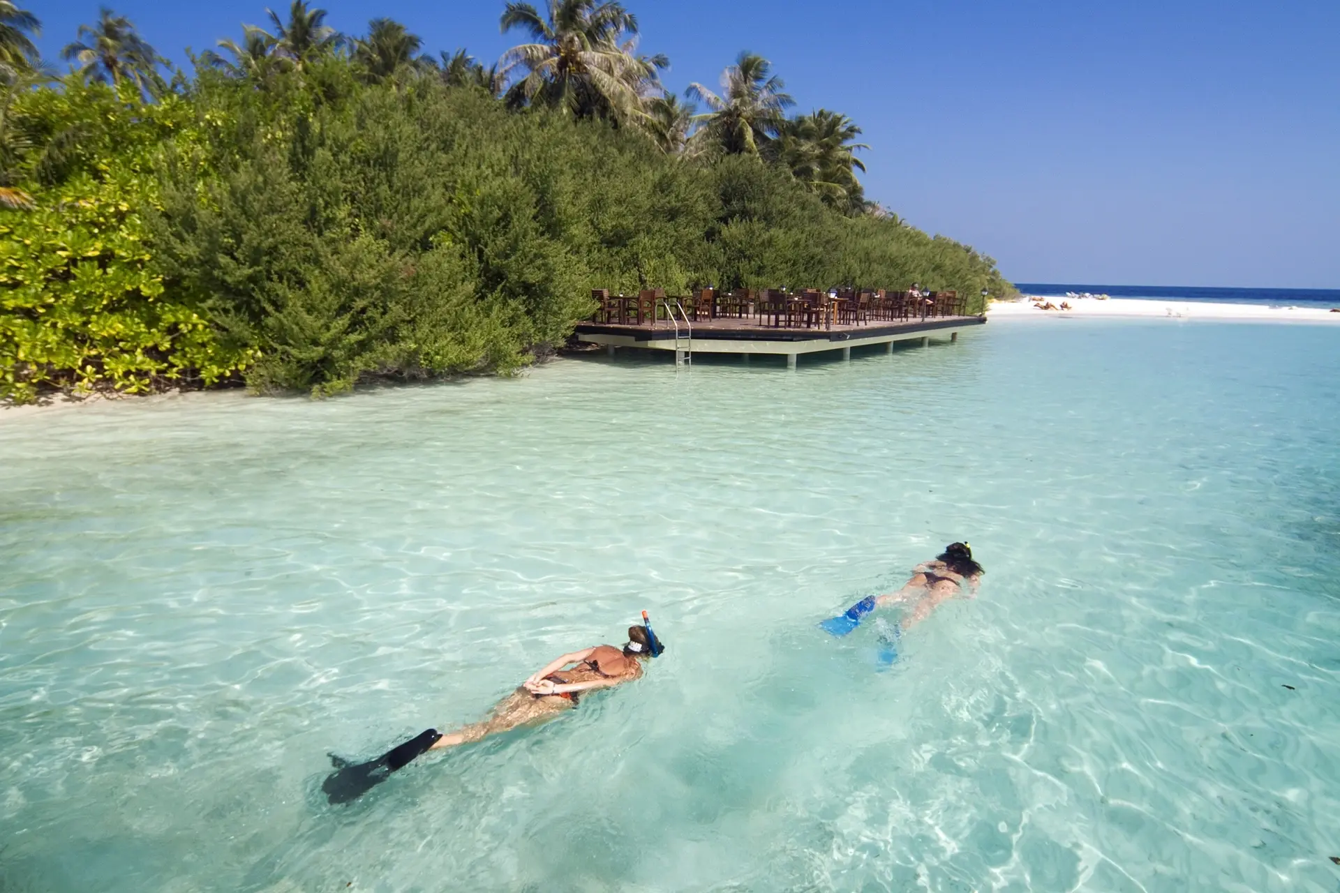 Snorkellers exploring the house reef at Embudu Village accommodation in the Maldives