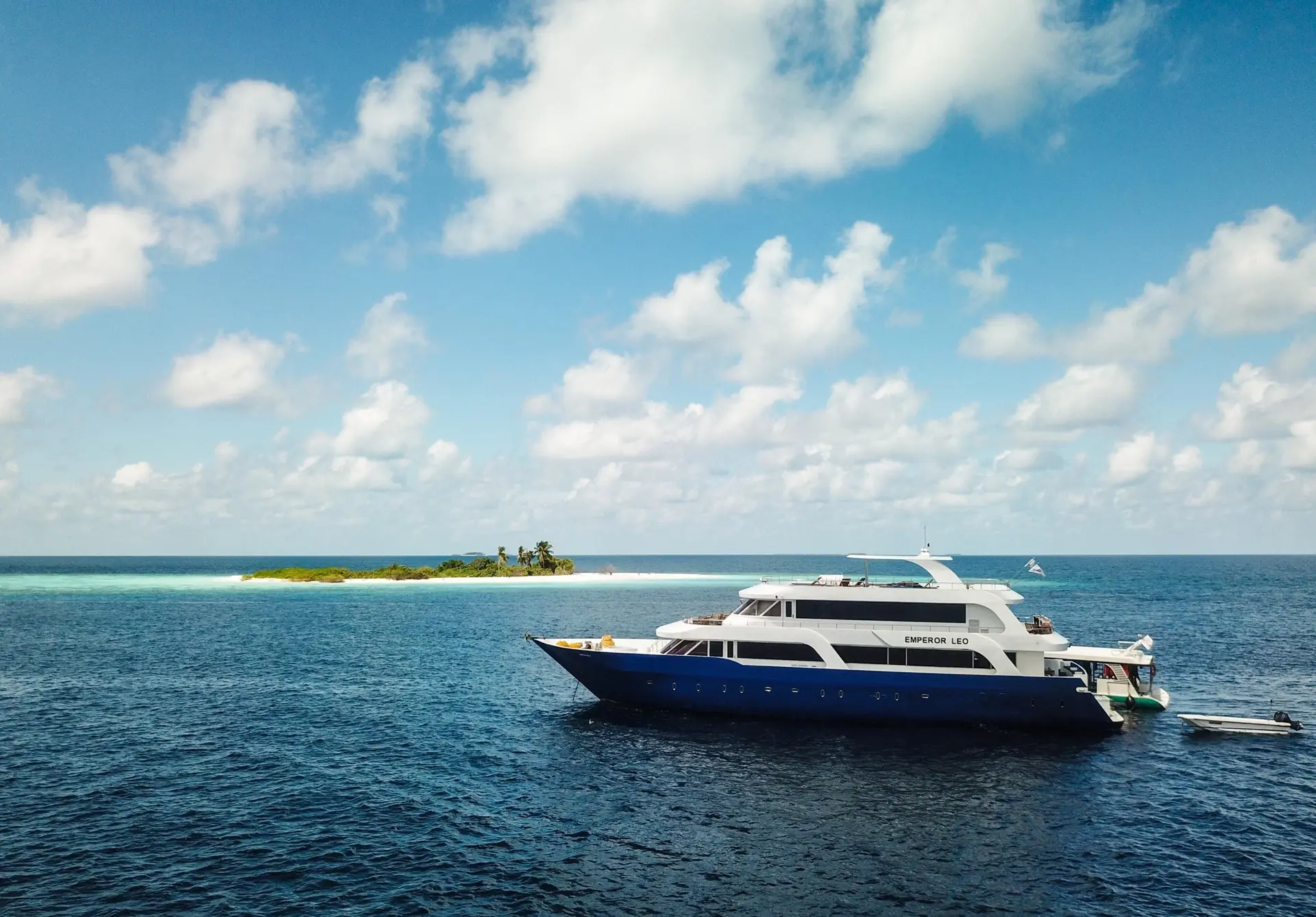 External image of Emperor Leo, Maldives
