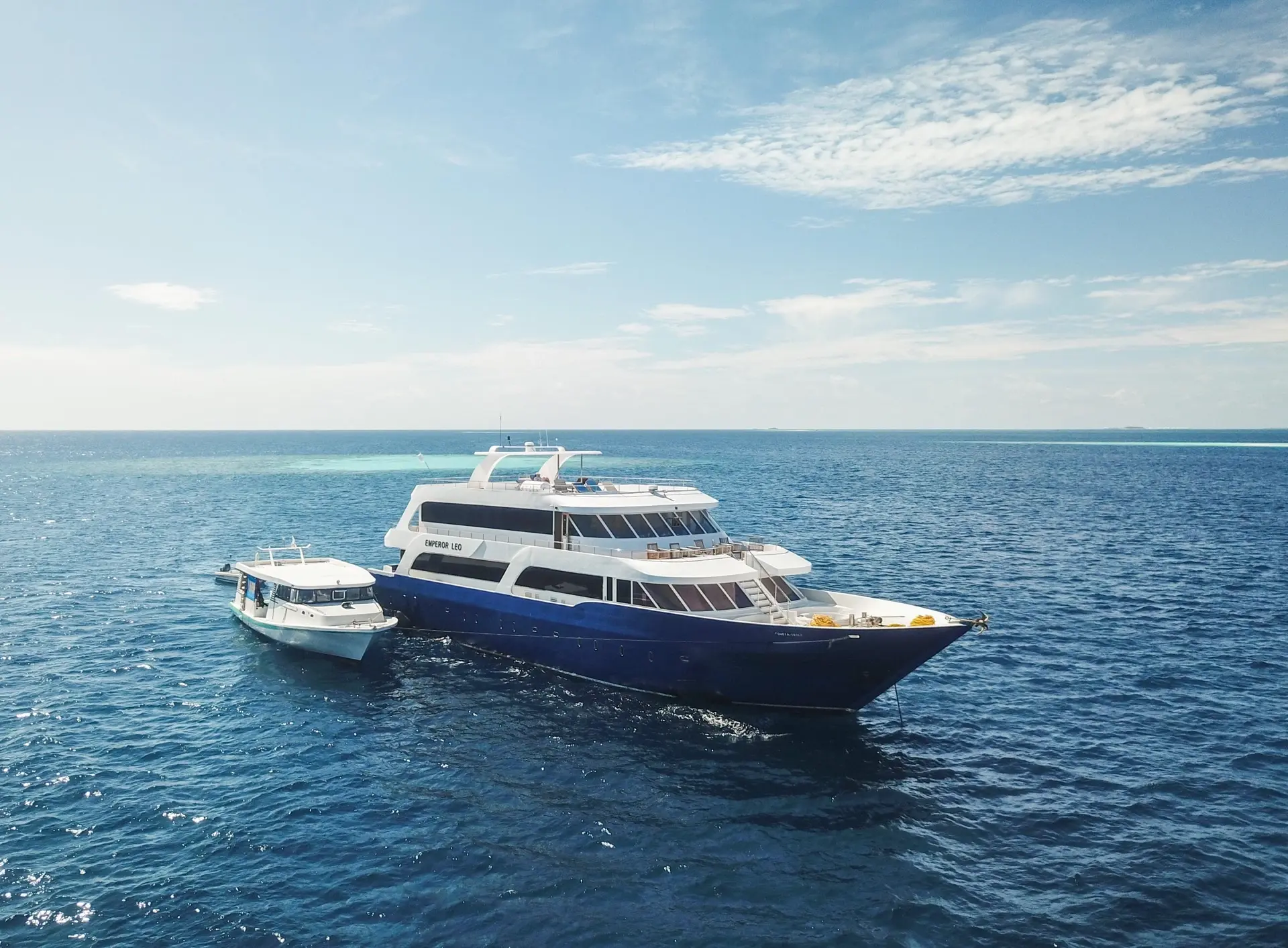 External image of Emperor Leo, Maldives