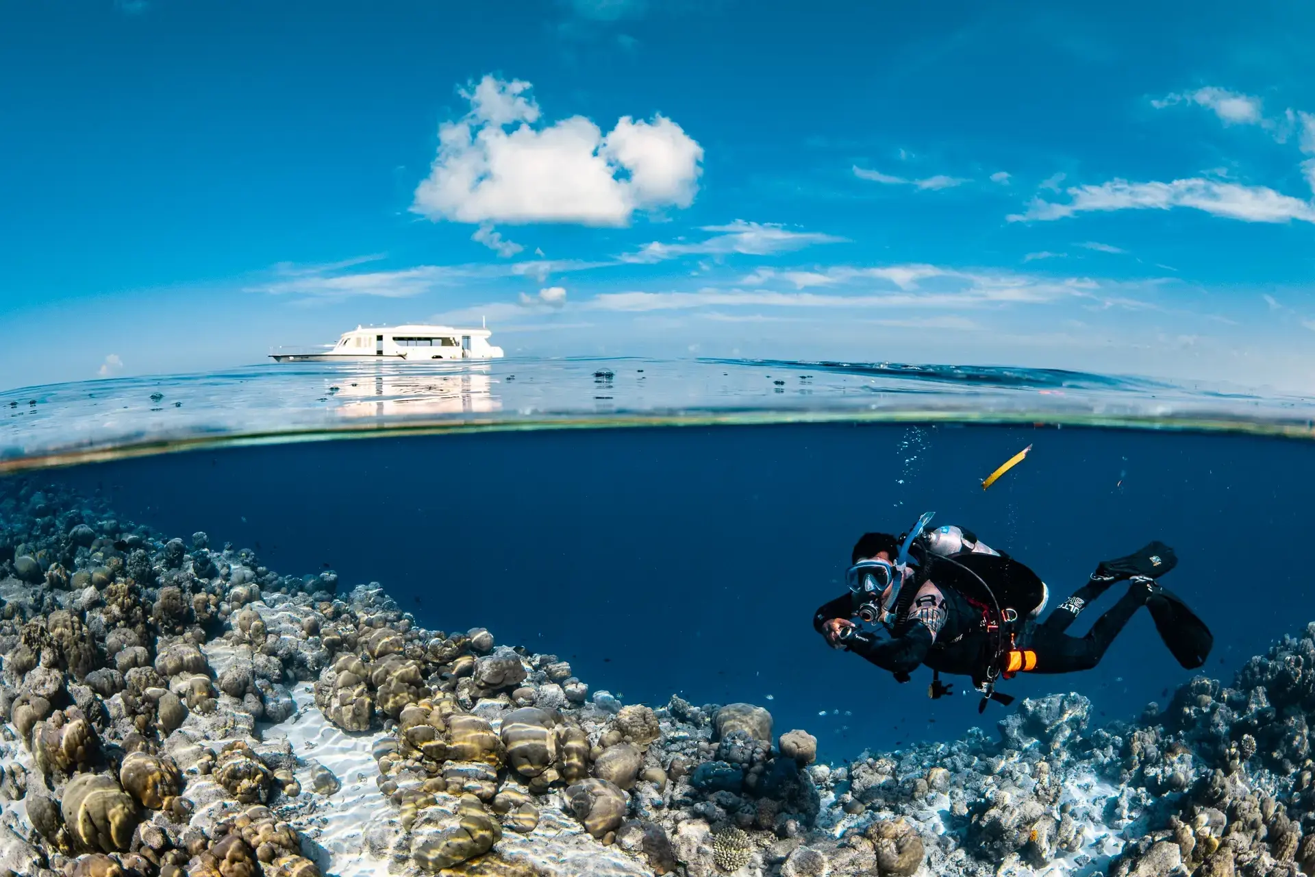 Split view of a diver underwater on the house reef, at Le Meridien Maldives Resort & Spa, Maldives.
