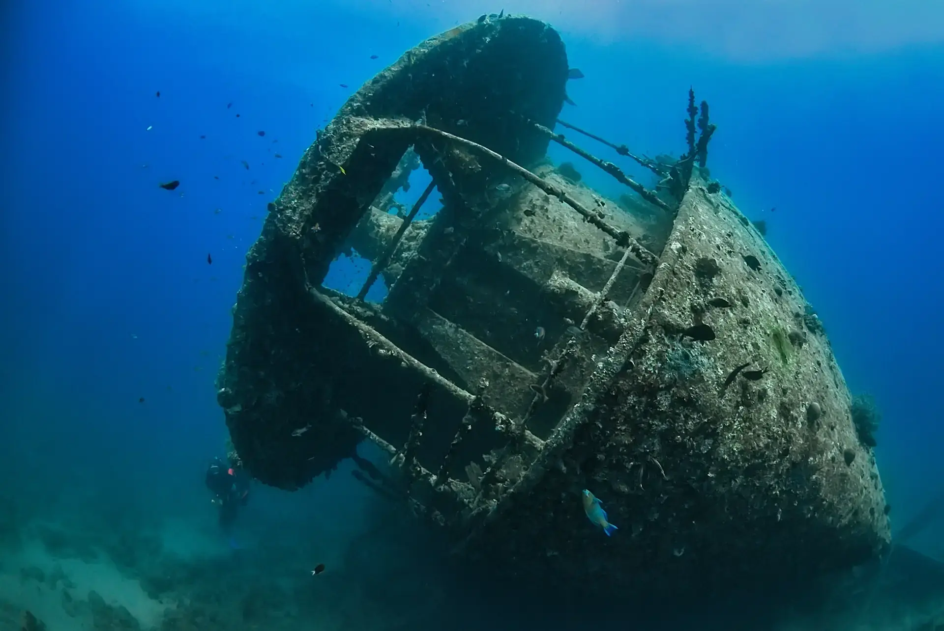 SS Thistlegorm, Red Sea