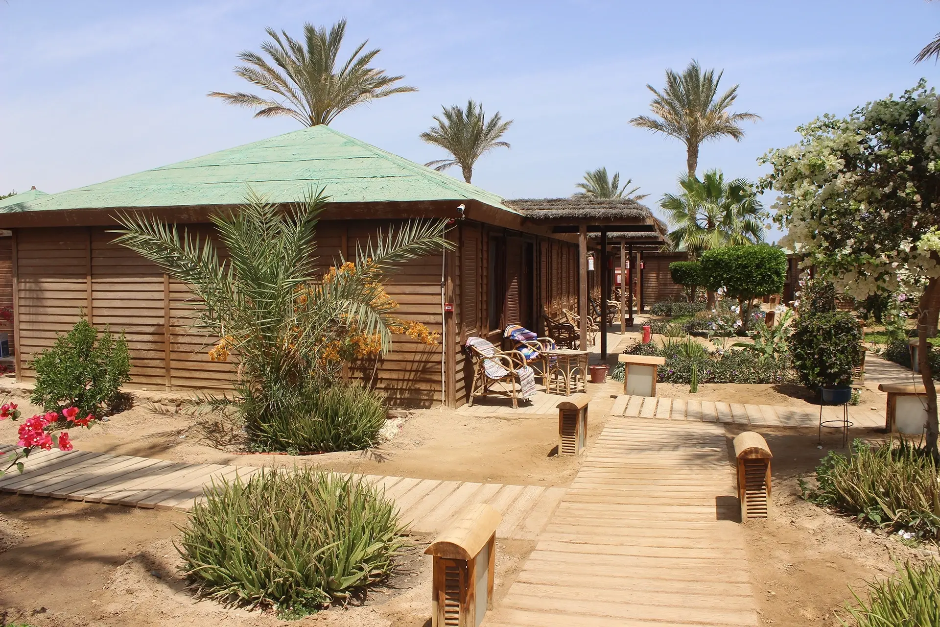 Rooms at Abu Dabbab Diving Lodge in Egypt