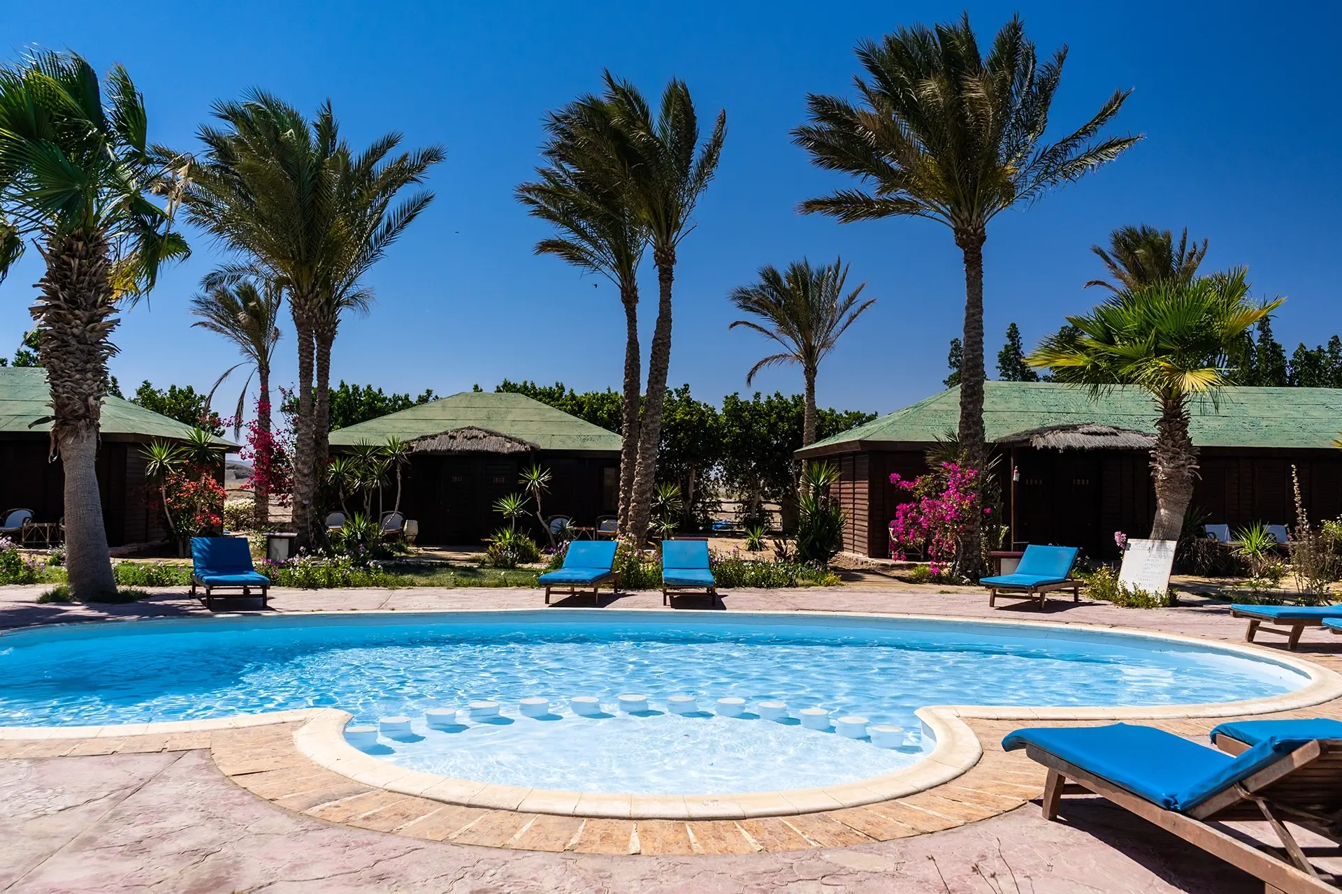 Swimming pool at Abu Dabbab Diving Lodge in Egypt