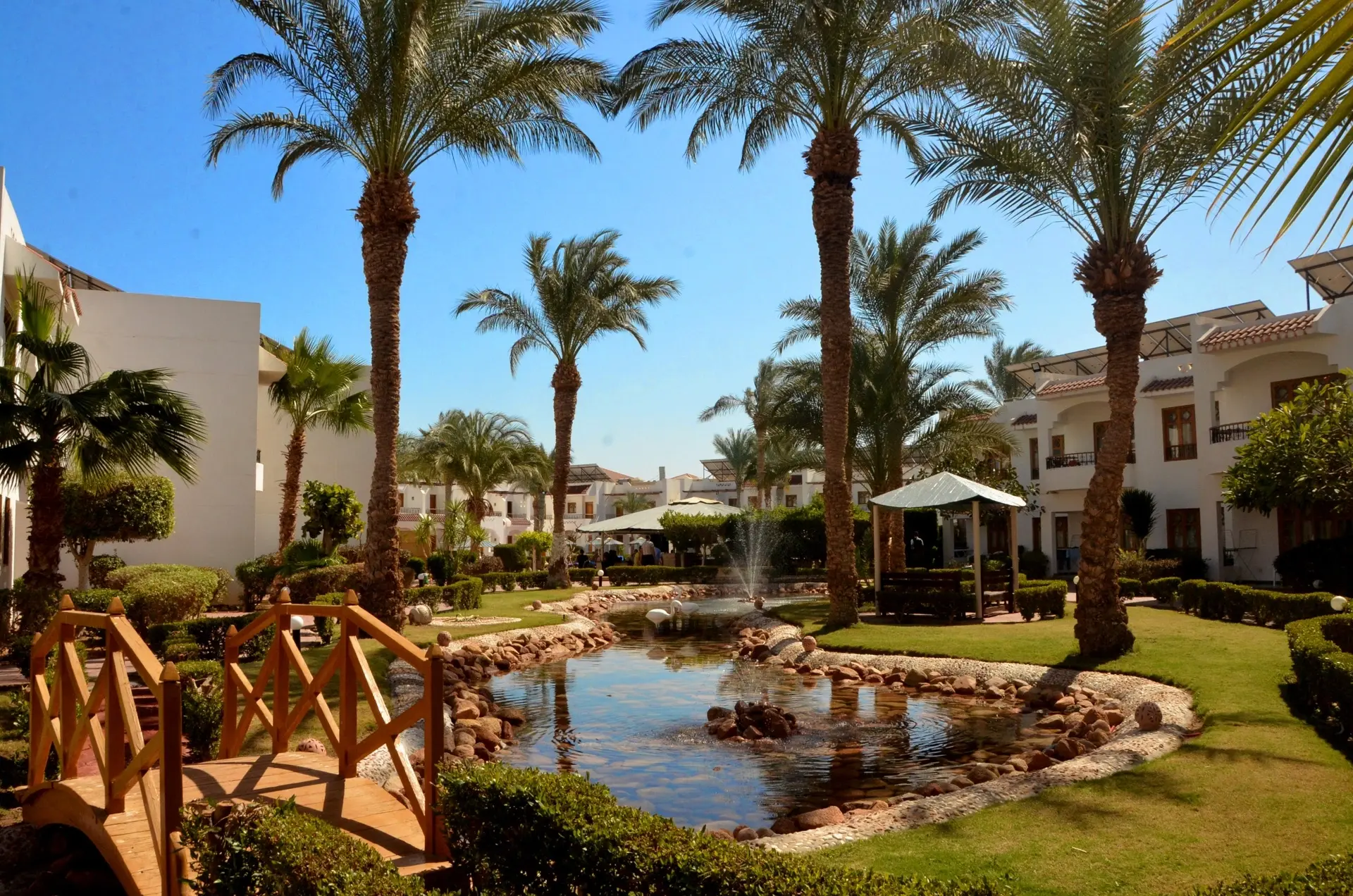 Gardens at Dive Inn Hotel in Ras Um Sid, Sharm El Sheikh, Egypt