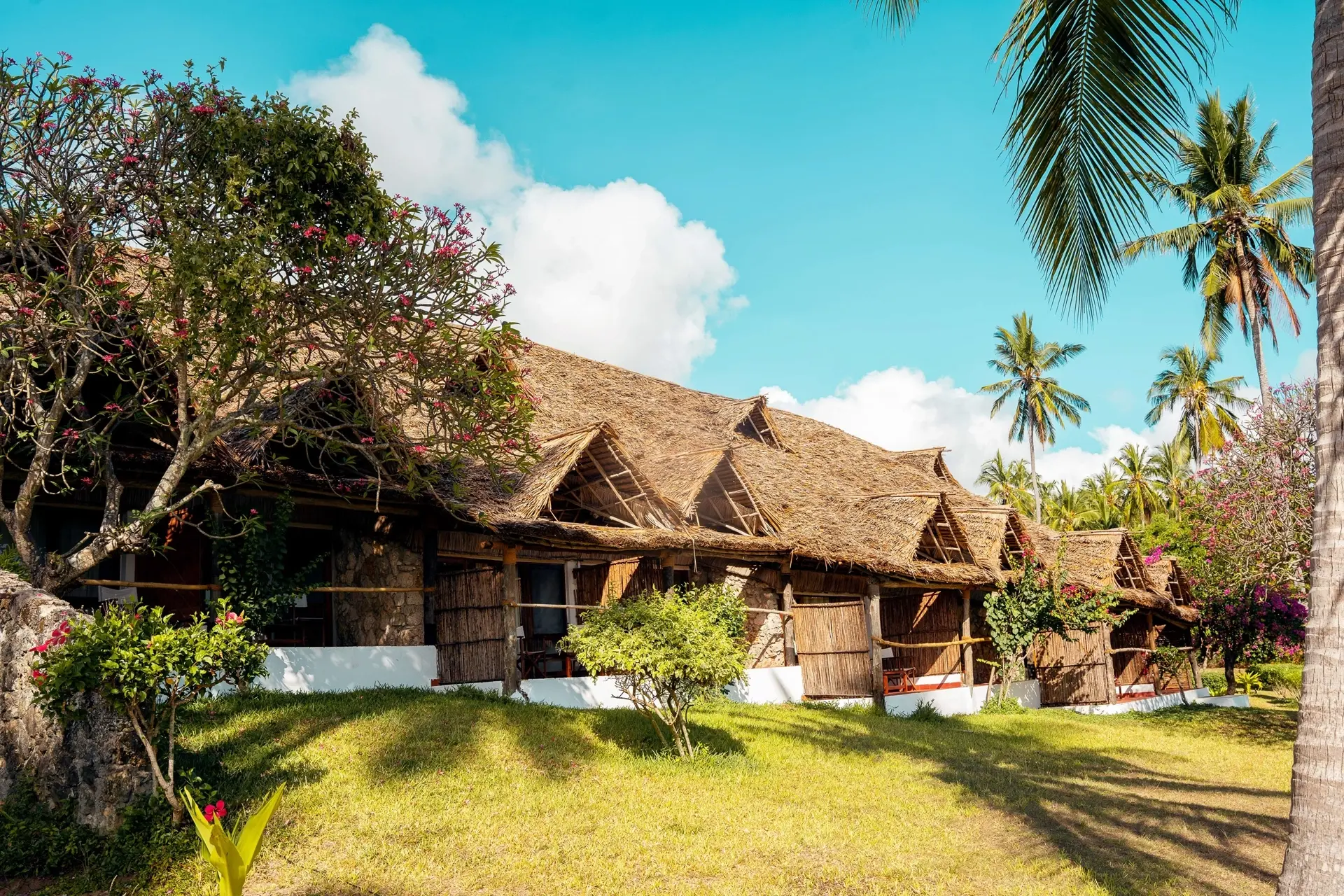 Standard rooms at Basecamp Mafia Island Eco Resort in Tanzania