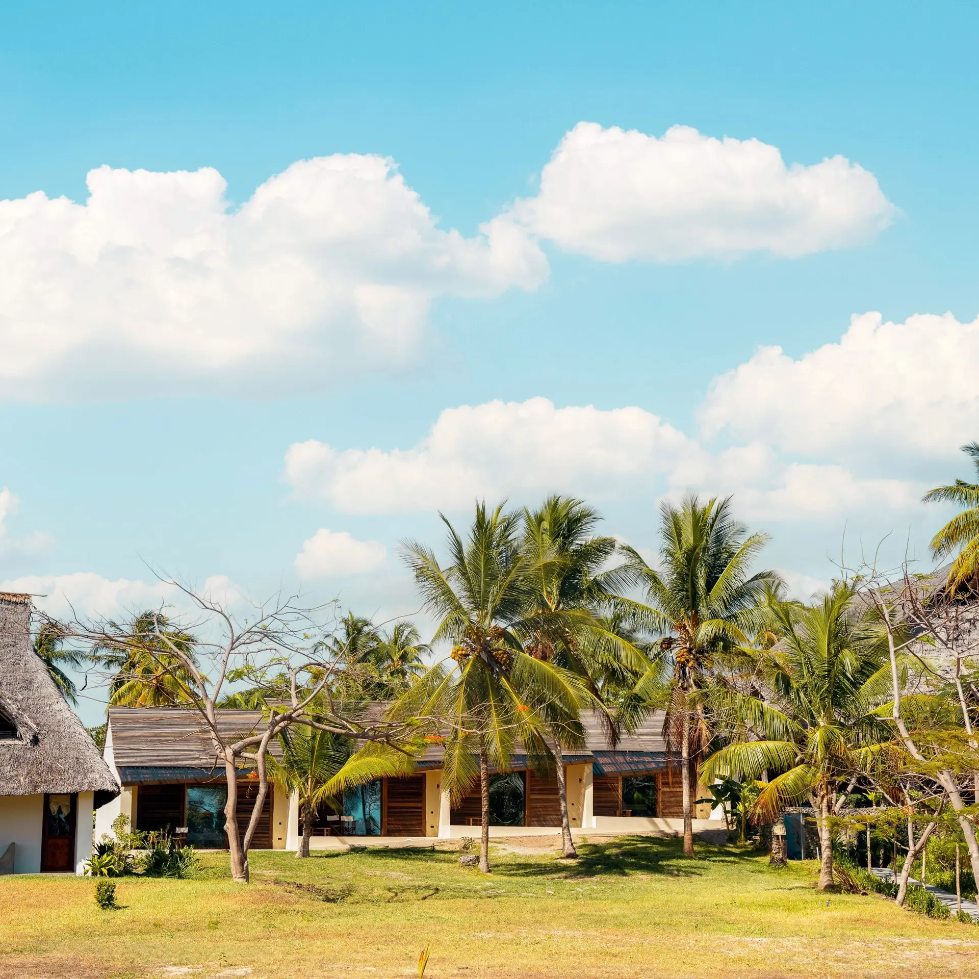 Superior rooms at Basecamp Mafia Island Eco Resort in Tanzania