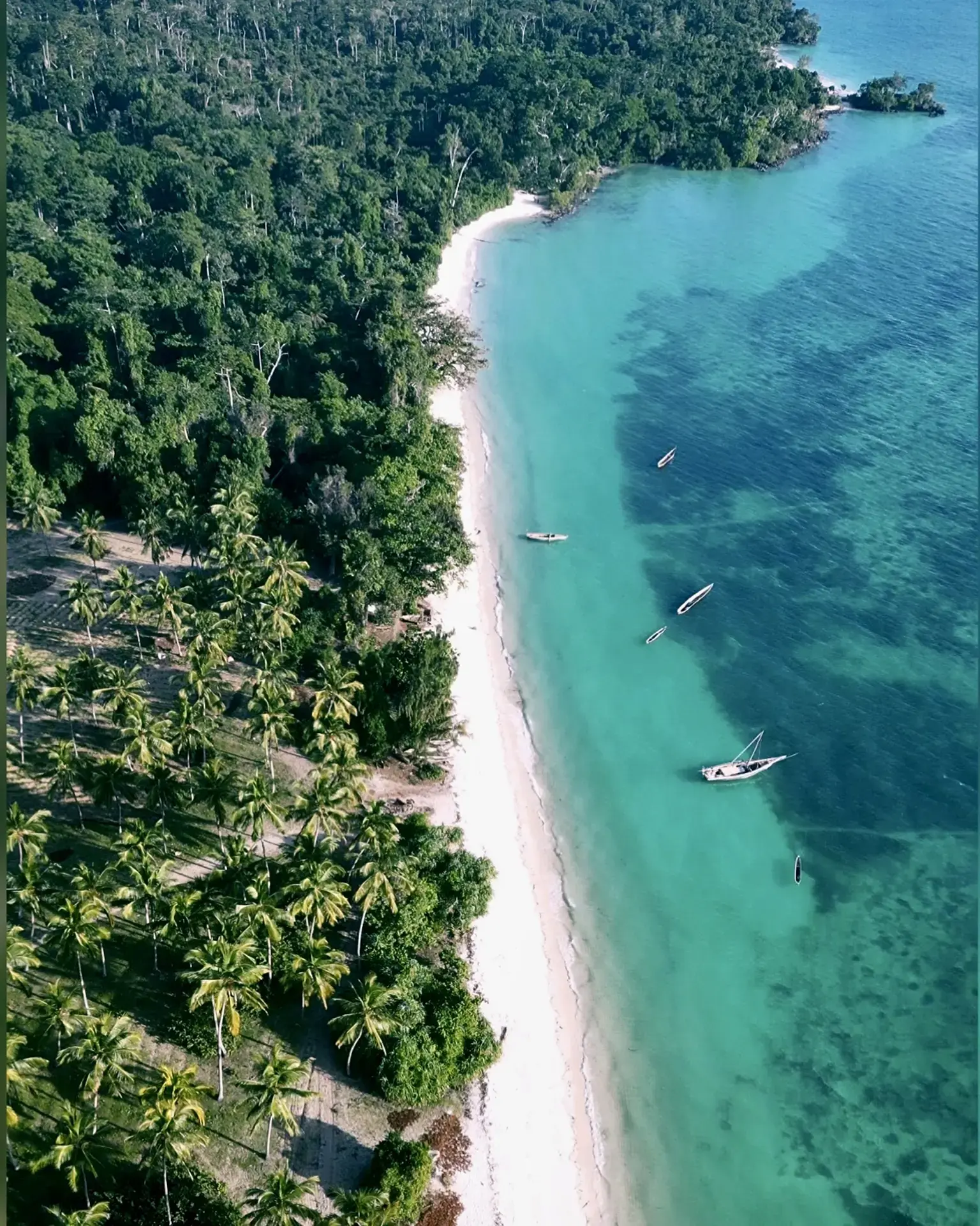 Aerial view of the coastline surrounding Afro Divers Lodge, Pemba, Tanzania.