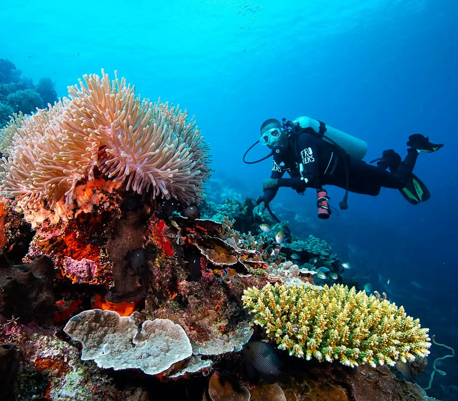 Diver exploring a reef in Pemba, Tanzania.