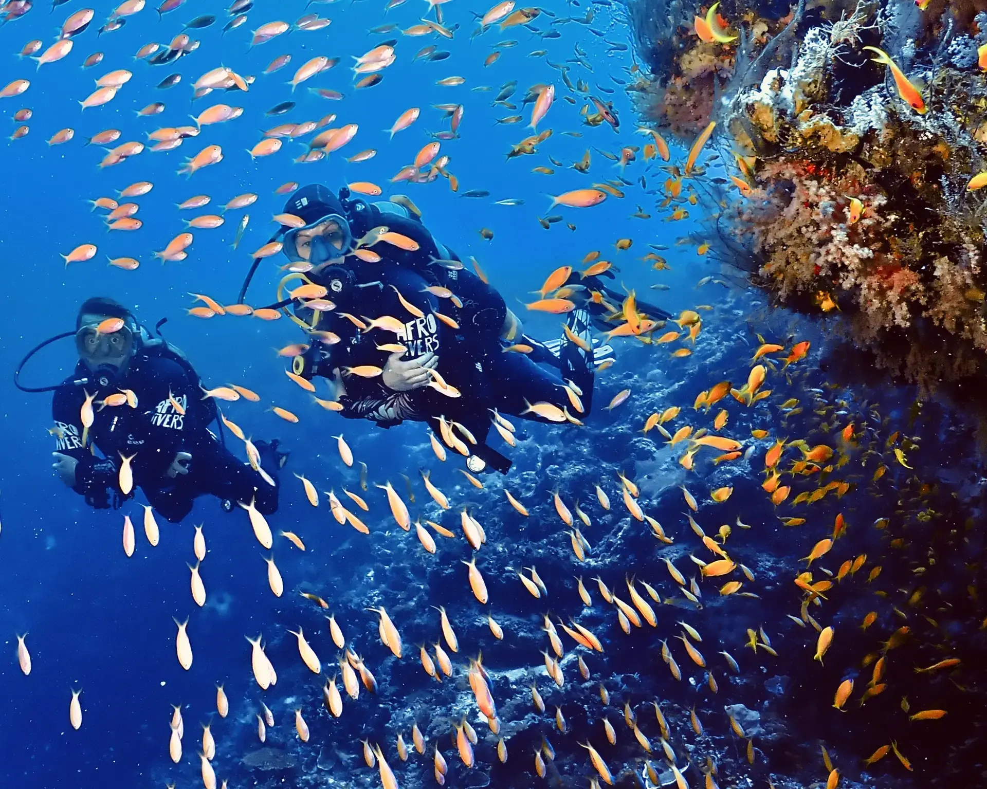 Divers by a shoal of fish in Pemba, Tanzania.