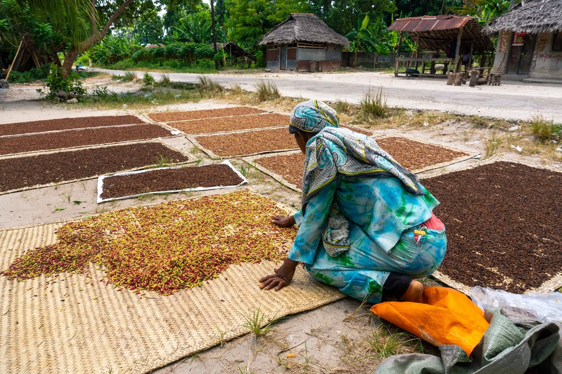 Drying clove in Pemba, Tanzania