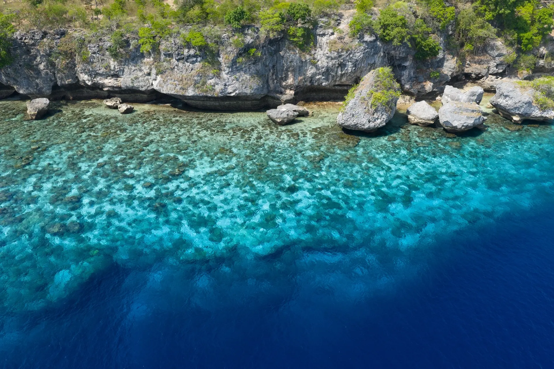 Coral reef in the Pulau Reong, Indonesia