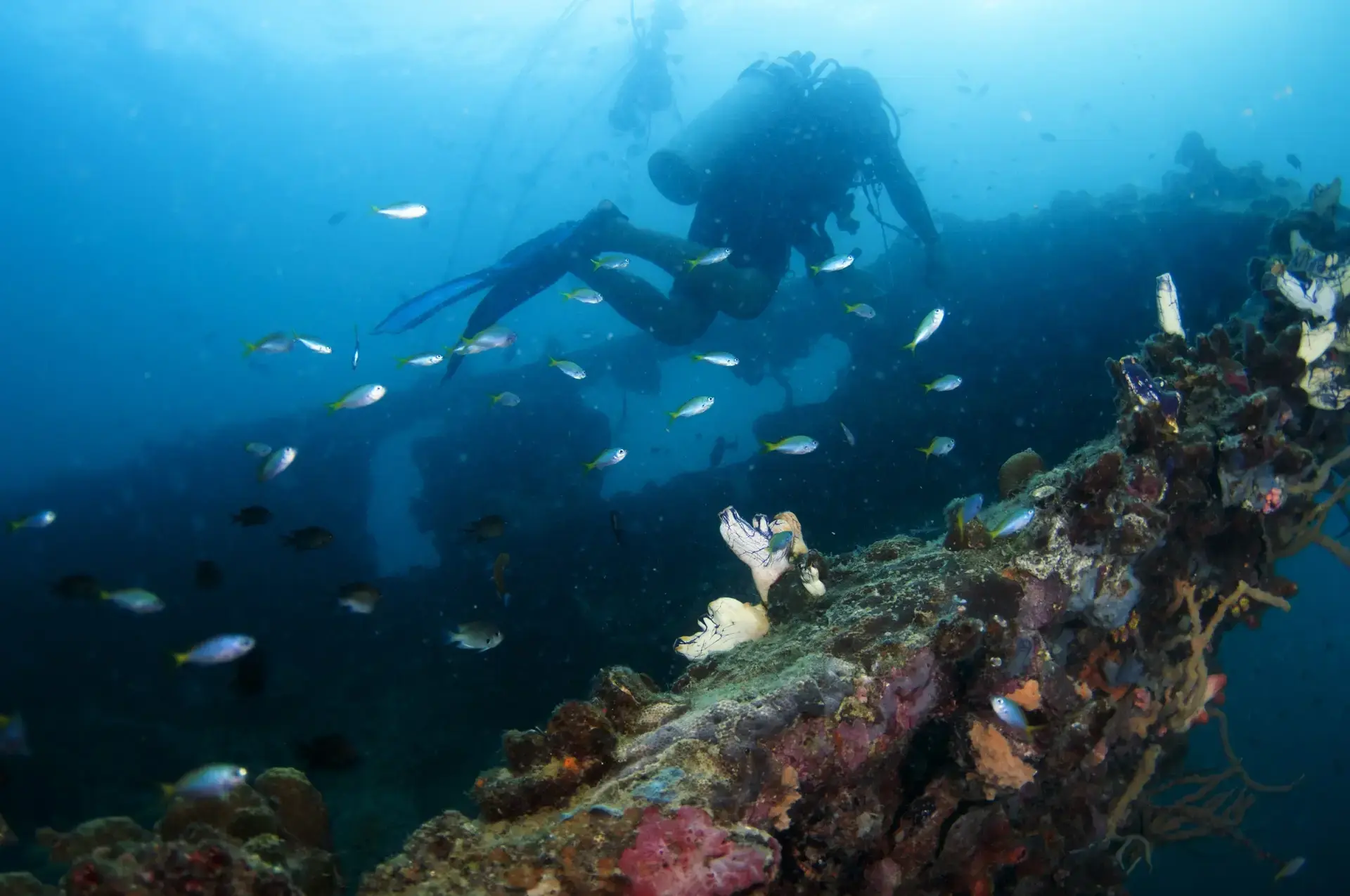 Wreck diving in Coron, the Philippines