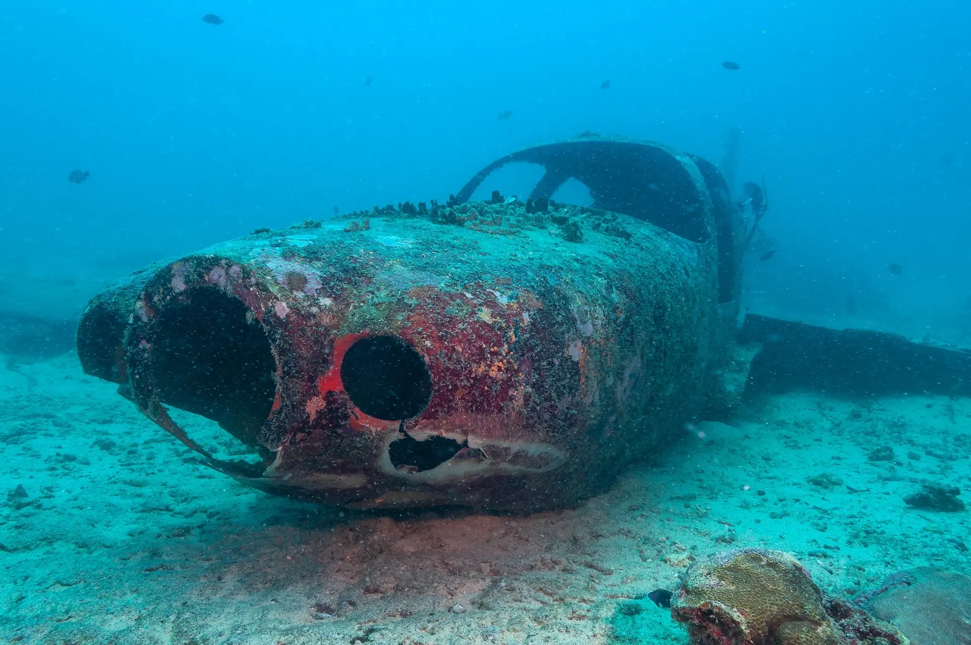 Plane wreck in Moalboal, the Philippines