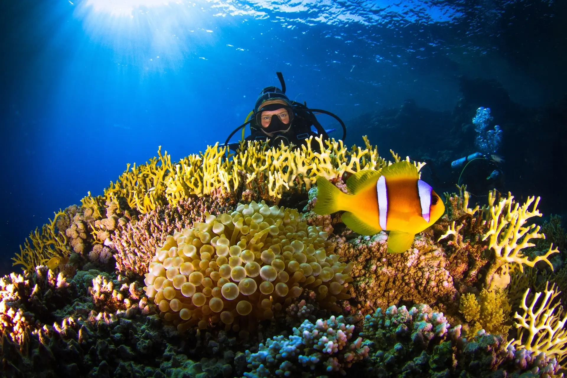 Coral reef & diver in Egypt