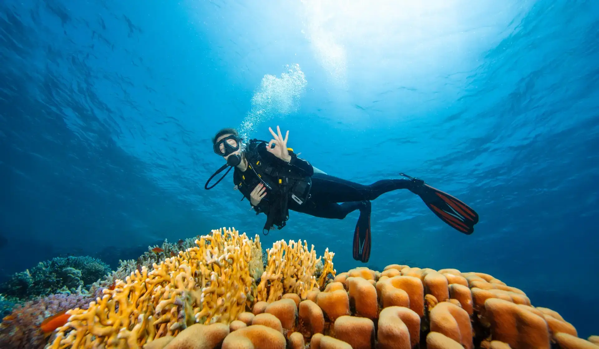 Underwater diver in Egypt