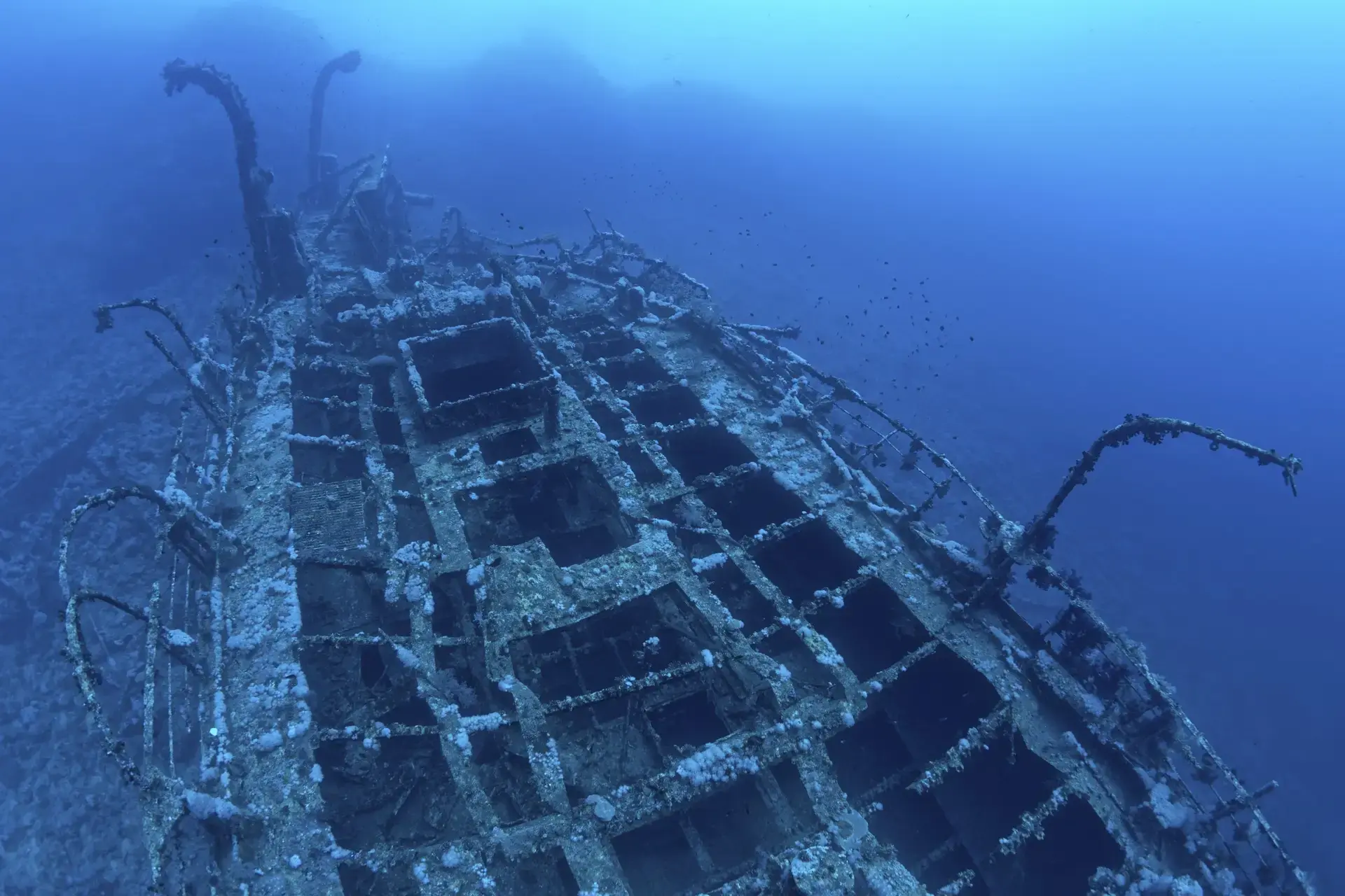 Aida wreck in the Red Sea