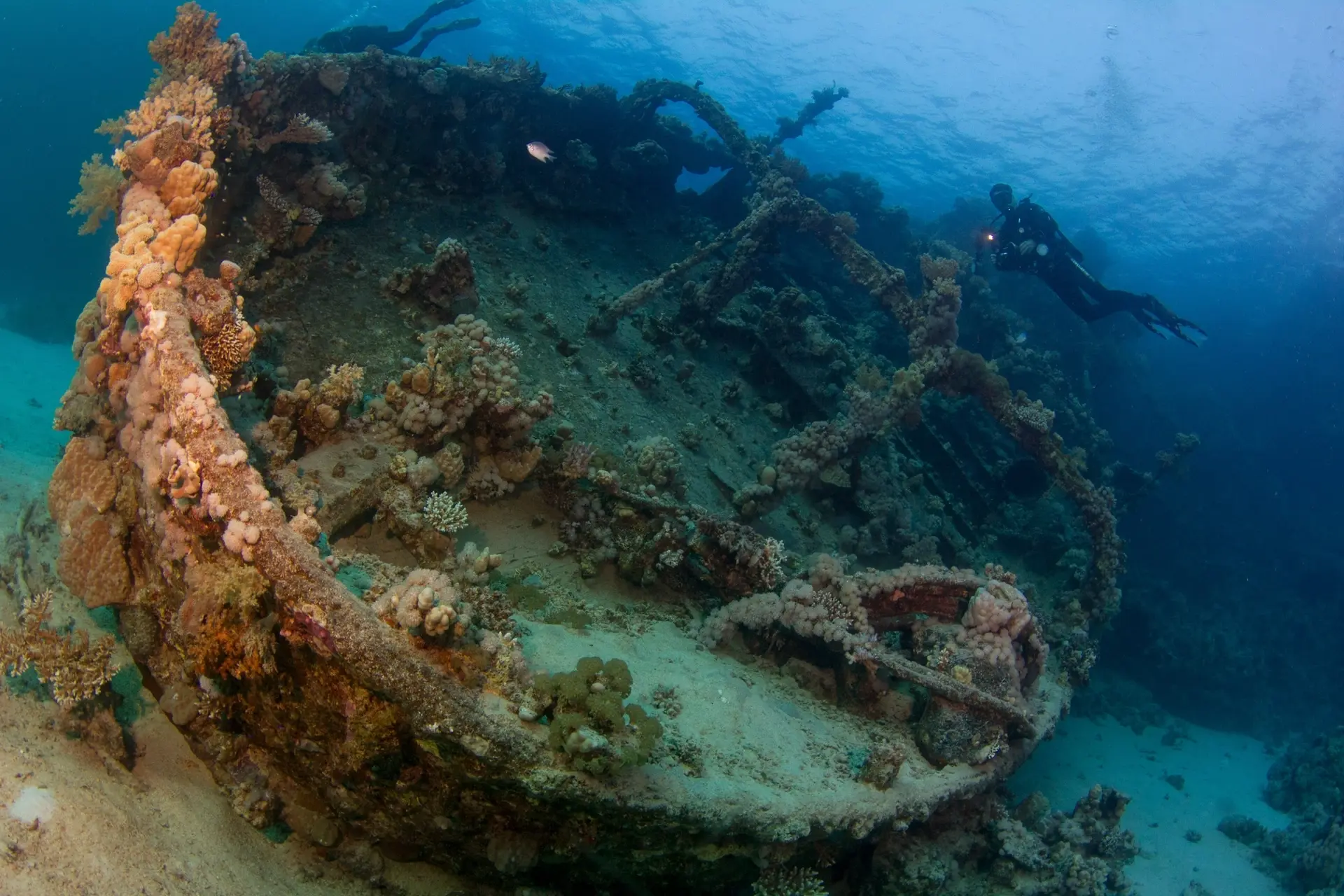 Shipwreck in Egypt