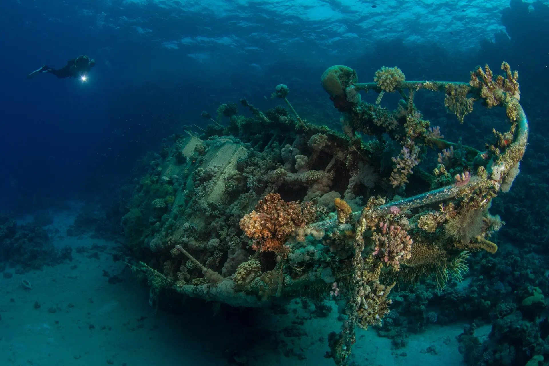 Shipwreck in Egypt