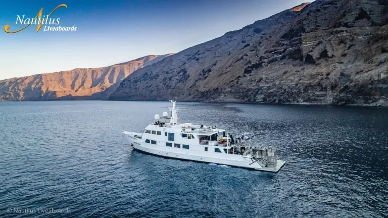 Nautilus Explorer liveaboard in Mexico