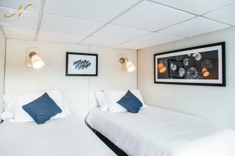 Twin cabin on board Nautilus Explorer liveaboard in Mexico