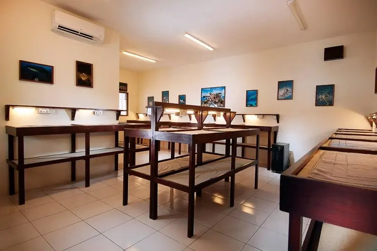 Camera room at Solitude Lembeh Resort in Indonesia