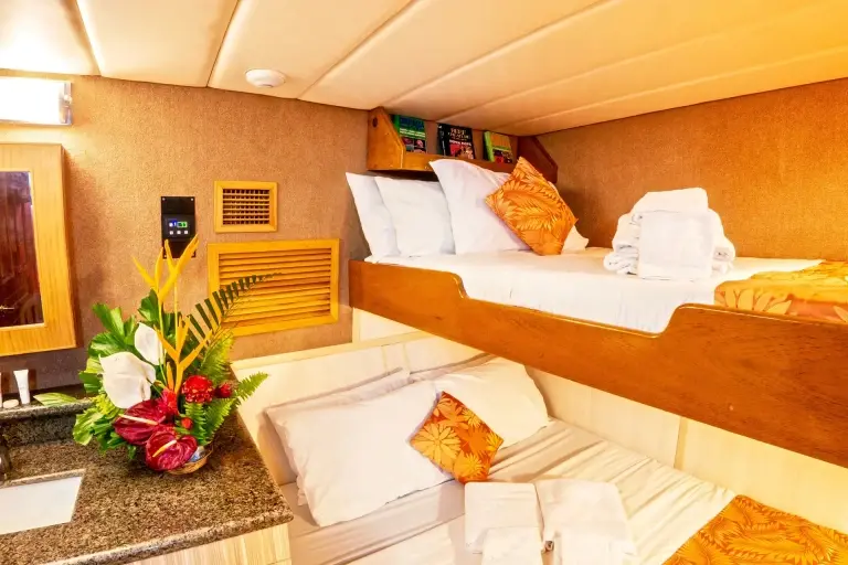 Deluxe cabin on board Atlantis Adventurer liveaboard in the Philippines