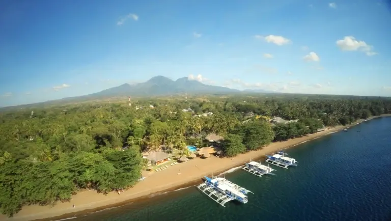 Aerial of the coastline & beach at Pura Vida Resort in Dauin, the Philippines