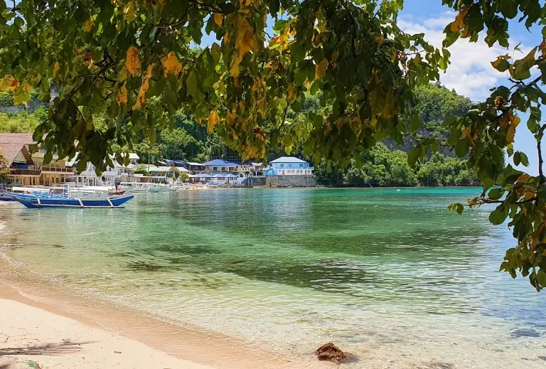 Beach at Scandi Divers Resort in Puerto Galera, the Philippines