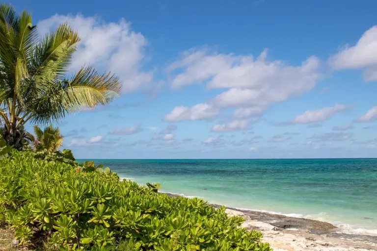 Beach near Orange Hill Inn in Nassau, the Bahamas