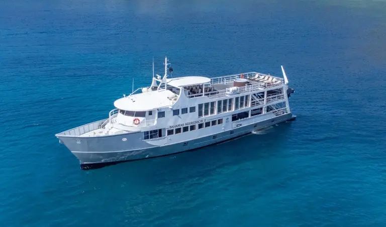 External image of Bahamas Aggressor II, Bahamas