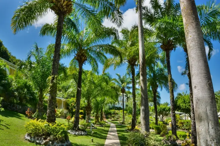 Gardens at Blue Horizons Garden Resort in Grenada