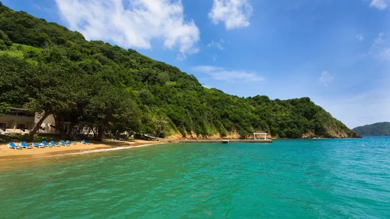 Beach at Blue Waters Inn in Speyside, Tobago