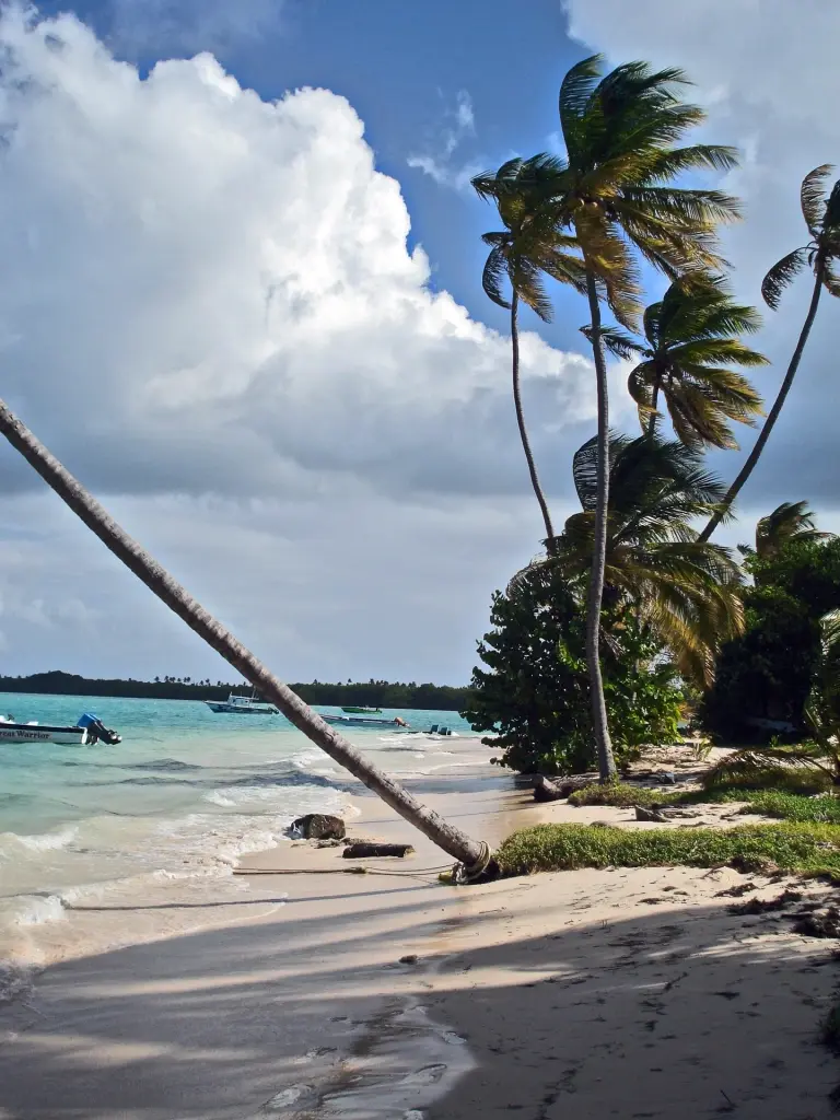 Beach near Nabucco's Resort Speyside Inn in Tobago, the Caribbean