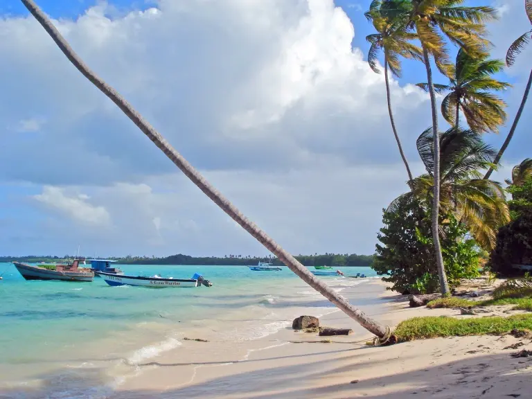 Beach near Nabucco's Resort Speyside Inn in Tobago, the Caribbean