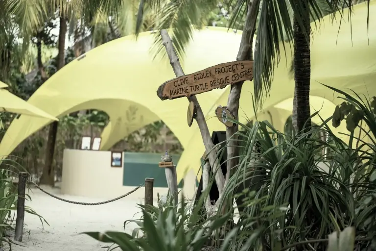 The Coco Dive Centre olive ridley conservation project base.