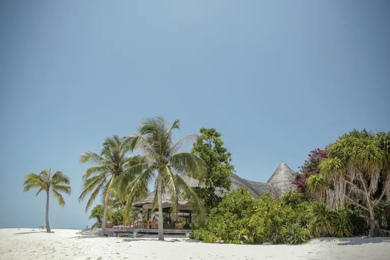 The Conch Bar at Coco Palm Dhuni Kolhu Resort, Maldives