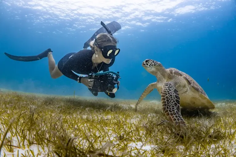 Snorkeller with green turtle at Le Meridien Maldives Resort & Spa, Maldives.