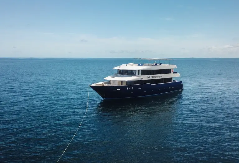 External image of Emperor Virgo, Maldives