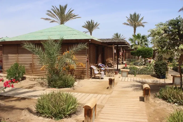 Rooms at Abu Dabbab Diving Lodge in Egypt