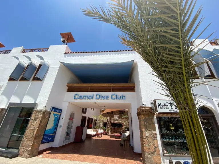 Camel Dive Hotel in Sharm el Sheikh, Egypt