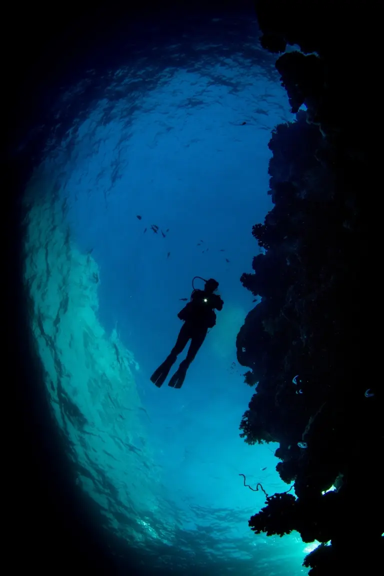 Diver, Sea Serpent Grand, Egypt
