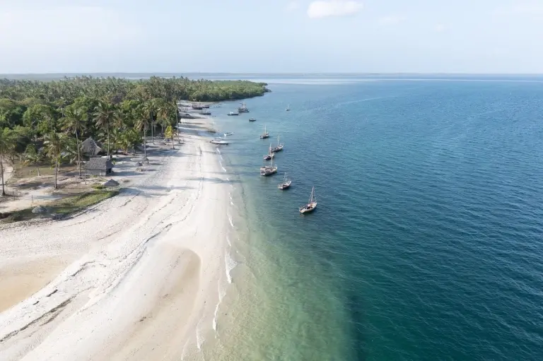 Aerial of Basecamp Mafia Island Eco Resort in Tanzania