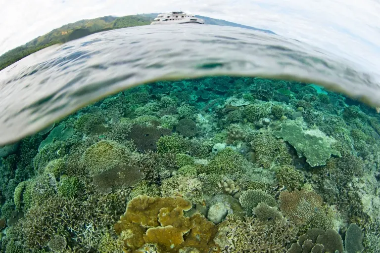 Boat & coral reef under the surface in the Forgotten Islands, Indonesia